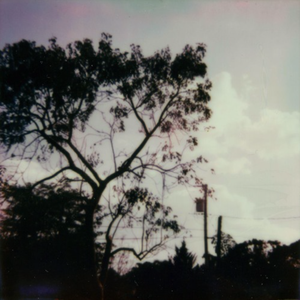 URL工具小鲤导航
